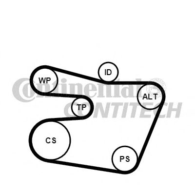 Set curea transmisie cu caneluri BMW E46 2,2-3,0