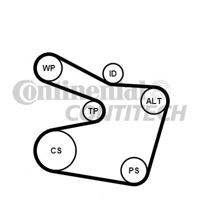 Set curea transmisie cu caneluri BMW 2,0-3,0 E39/E46