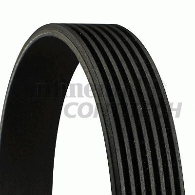 Curea transmisie cu caneluri HONDA ACCORD/CIVIC/NISSAN PATROL/TERRANO/CABSTAR/RENAULT MASTER/TOYOTA LANDCRUISER