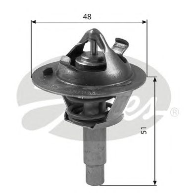 termostat,lichid racire