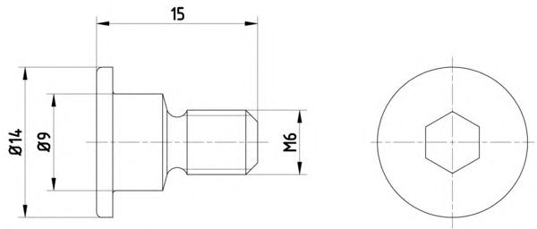 Surub, disc frana