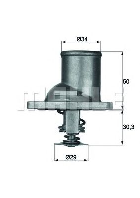 termostat,lichid racire