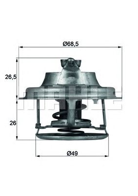 termostat,lichid racire