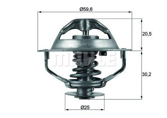 termostat,lichid racire