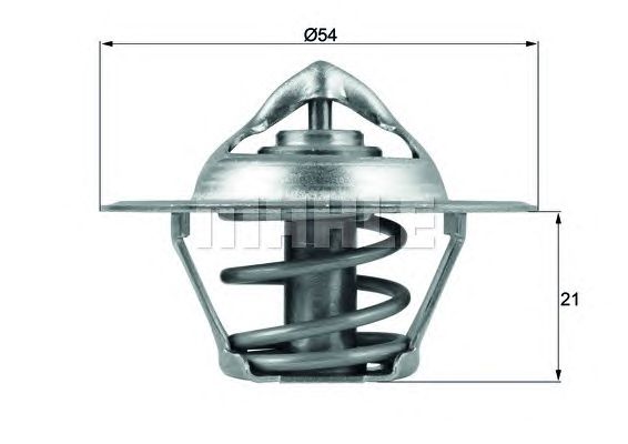 termostat,lichid racire