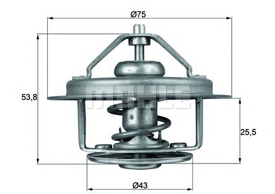 termostat,lichid racire