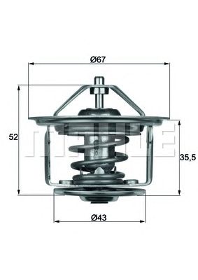 termostat,lichid racire