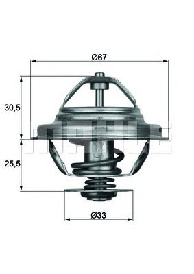 termostat,lichid racire