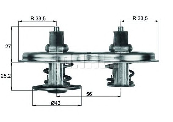 termostat,lichid racire