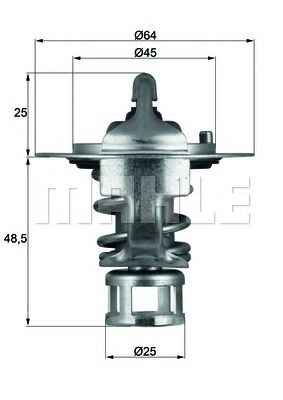 termostat,lichid racire