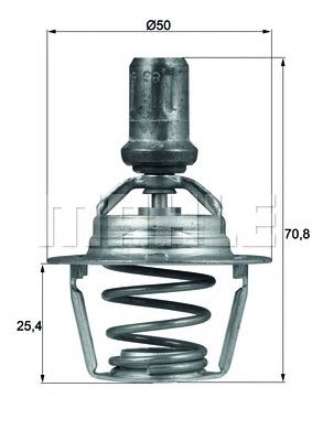 termostat,lichid racire