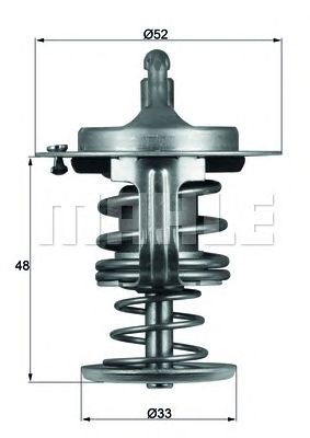 termostat,lichid racire