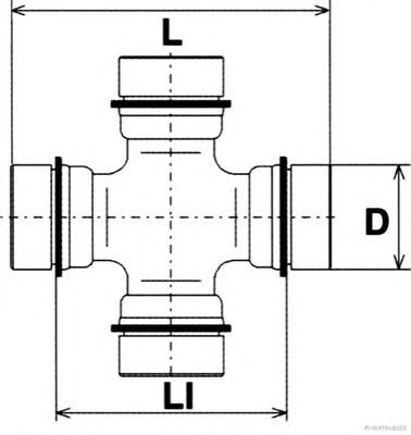 Articulatie, cardan