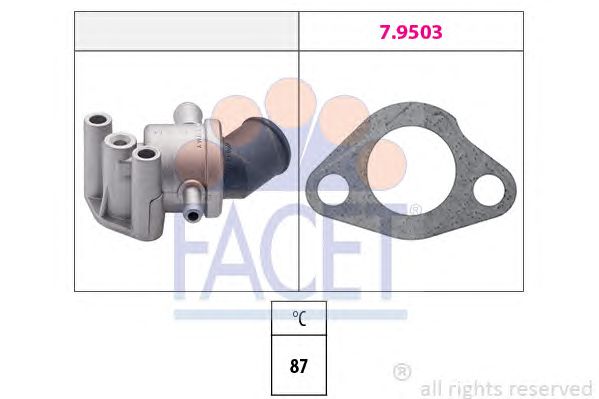 termostat,lichid racire