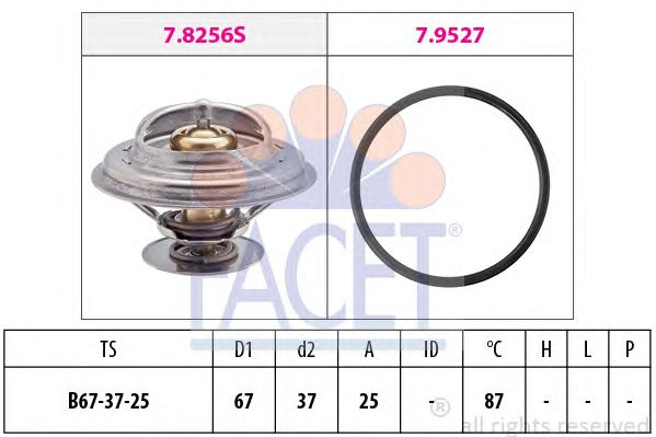 termostat,lichid racire