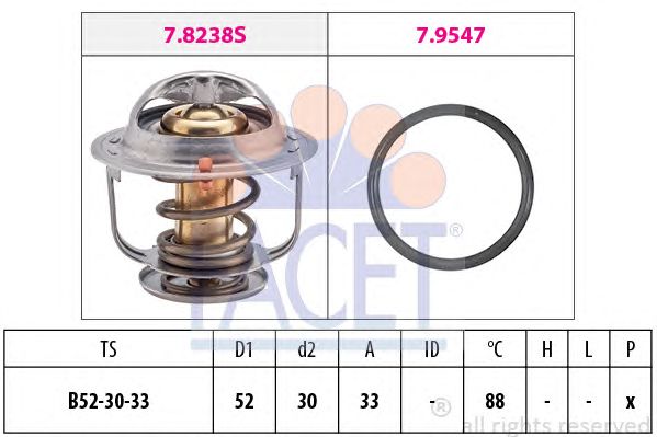 termostat,lichid racire