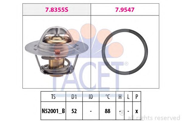 termostat,lichid racire