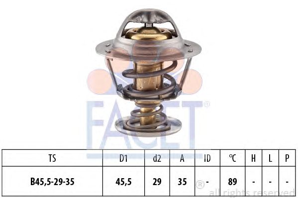 termostat,lichid racire