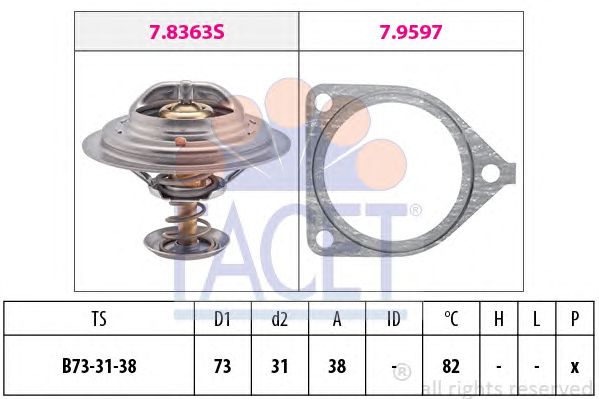 termostat,lichid racire