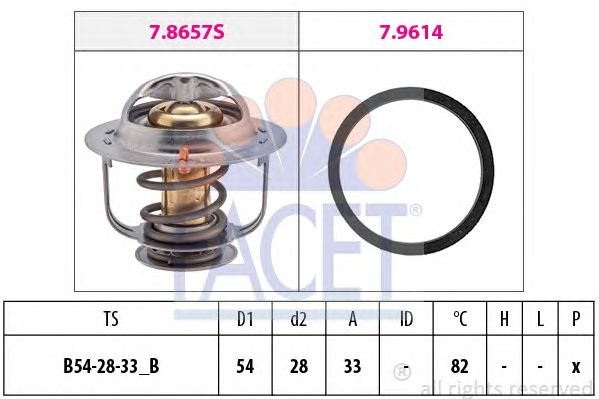 termostat,lichid racire