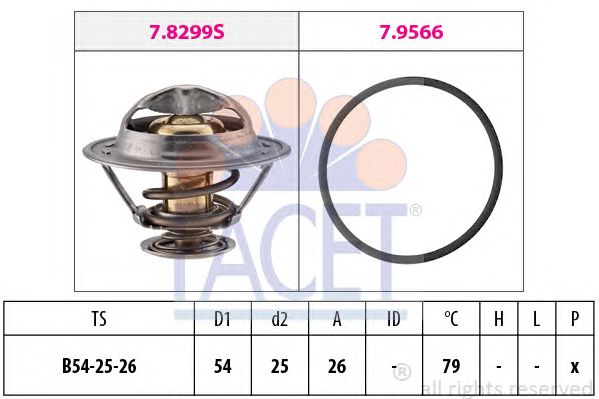 termostat,lichid racire