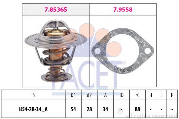 termostat,lichid racire