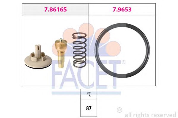 termostat,lichid racire