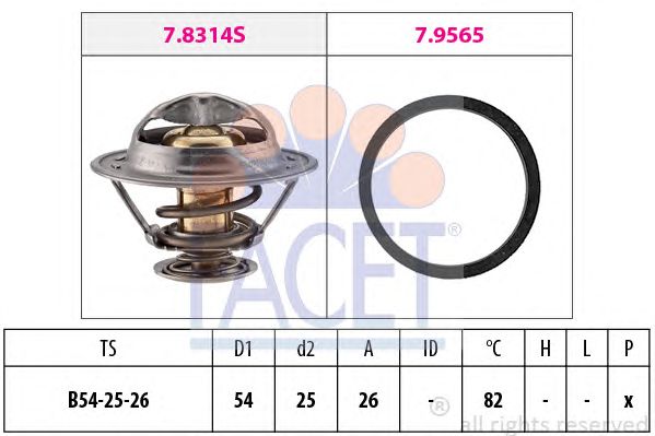 termostat,lichid racire