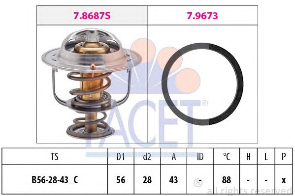 termostat,lichid racire