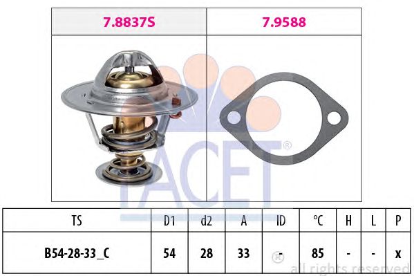 termostat,lichid racire