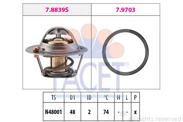 termostat,lichid racire