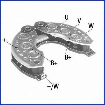 Punte diode