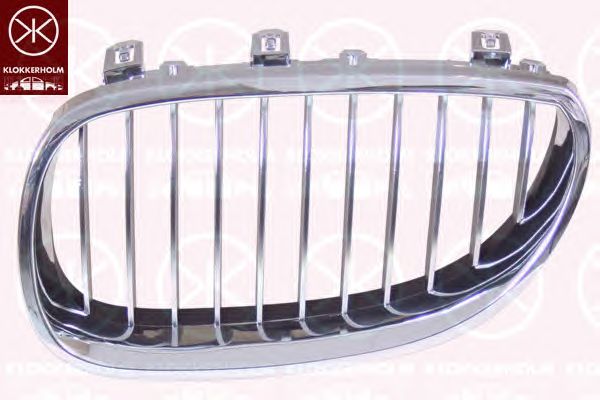 Grila radiator