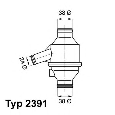 termostat,lichid racire; termostat,lichid racire