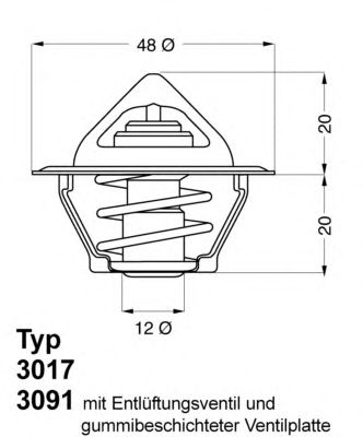 termostat,lichid racire; termostat,lichid racire