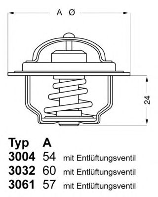 termostat,lichid racire; termostat,lichid racire