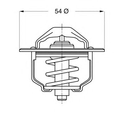 termostat,lichid racire