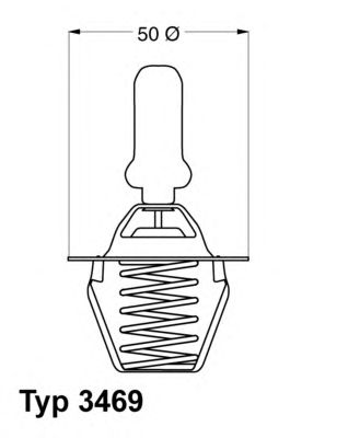 termostat,lichid racire