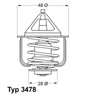 termostat,lichid racire