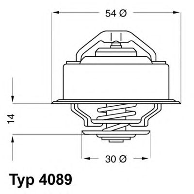 termostat,lichid racire