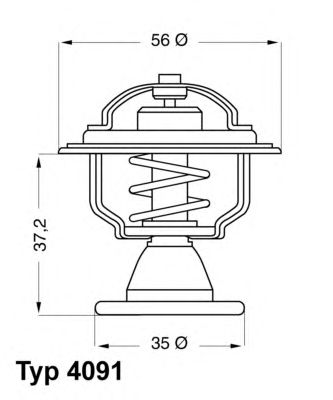 termostat,lichid racire