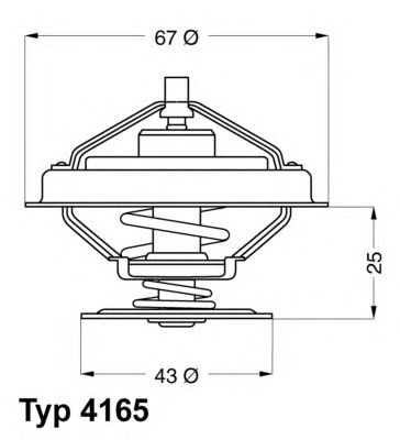 termostat,lichid racire