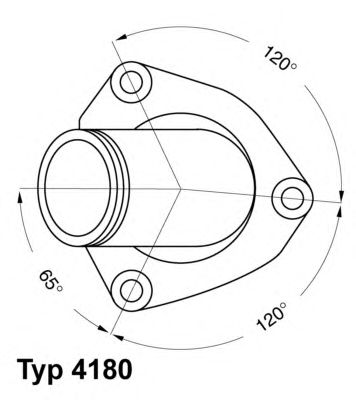 termostat,lichid racire