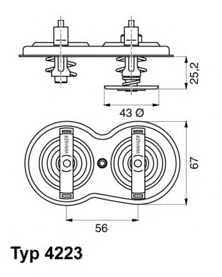 termostat,lichid racire