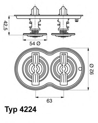 termostat,lichid racire