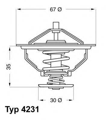 termostat,lichid racire