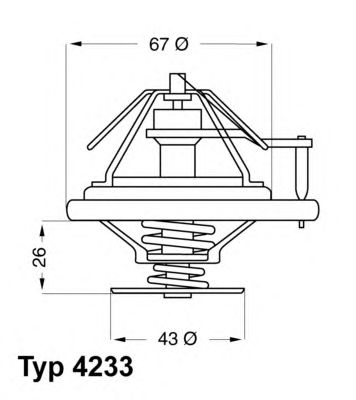 termostat,lichid racire