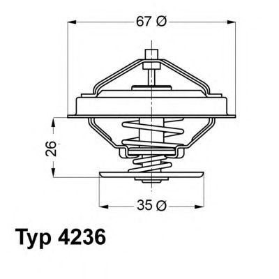 termostat,lichid racire