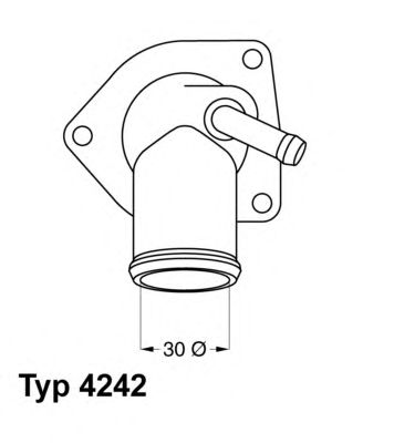 termostat,lichid racire