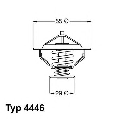 termostat,lichid racire